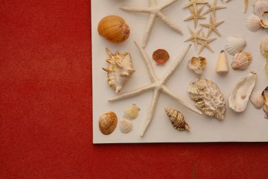 Grand Hotel Arciduca